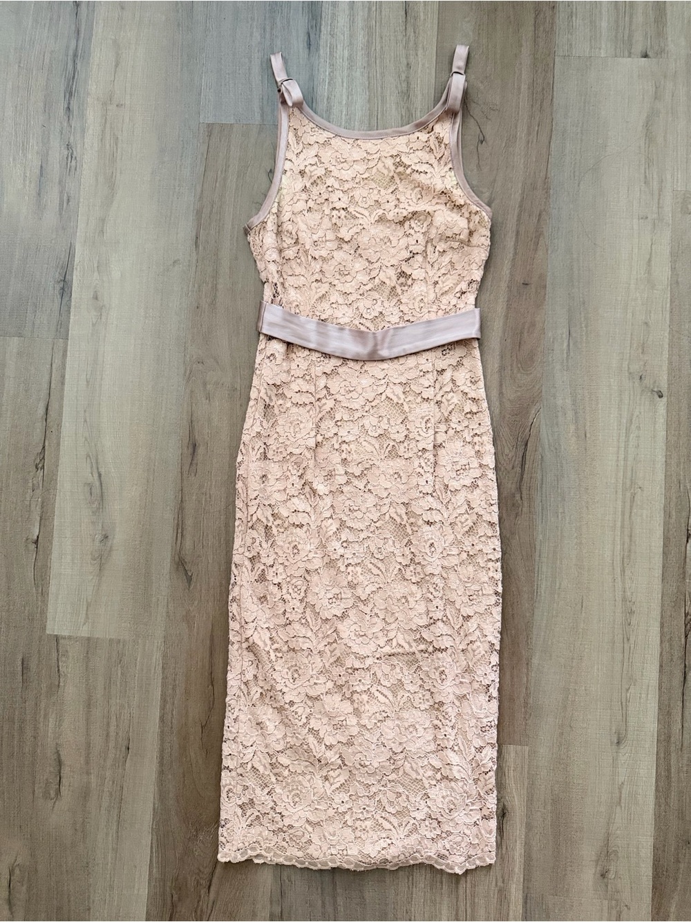 ABS Allen Schwartz Nude Blush Lace Midi Dress with Satin Waistband